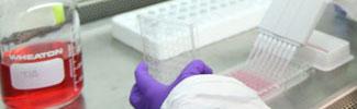 Chemical Safety Science